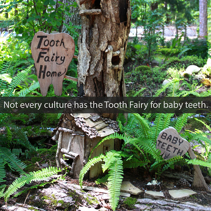 tooth-fairy-2022_700.jpg